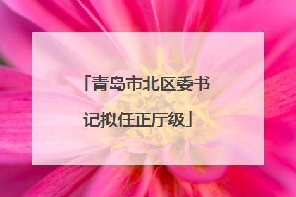 青岛市北区委书记拟任正厅级