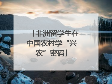 非洲留学生在中国农村学“兴农”密码