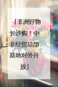 非洲好物长沙购！中非经贸总部基地对外开放