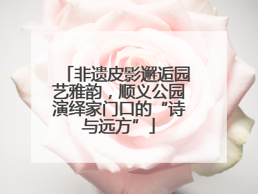 非遗皮影邂逅园艺雅韵，顺义公园演绎家门口的“诗与远方”