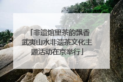 非遗馆里茶韵飘香 武夷山水非遗茶文化主题活动在京举行