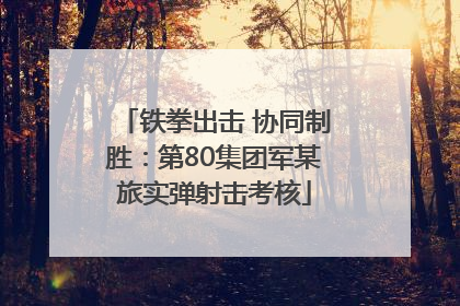 铁拳出击 协同制胜：第80集团军某旅实弹射击考核