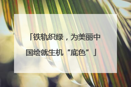 铁轨织绿，为美丽中国绘就生机“底色”