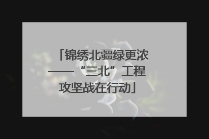 锦绣北疆绿更浓——“三北”工程攻坚战在行动