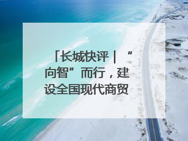 长城快评｜“向智”而行，建设全国现代商贸物流重要基地