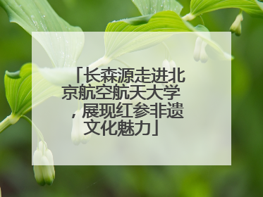 长森源走进北京航空航天大学，展现红参非遗文化魅力