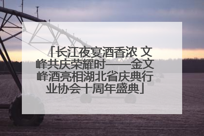 长江夜宴酒香浓 文峰共庆荣耀时——金文峰酒亮相湖北省庆典行业协会十周年盛典