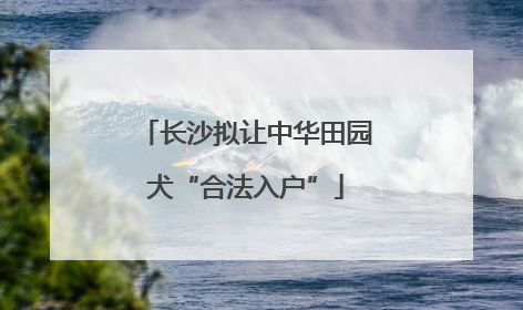 长沙拟让中华田园犬“合法入户”