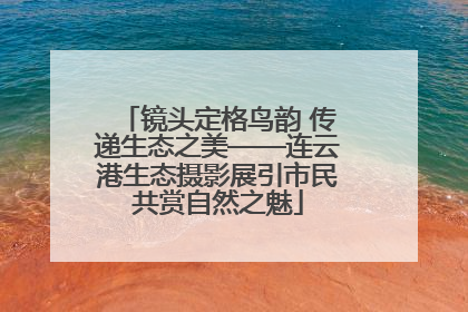 镜头定格鸟韵 传递生态之美——连云港生态摄影展引市民共赏自然之魅
