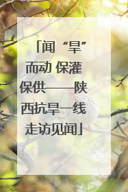 闻“旱”而动 保灌保供——陕西抗旱一线走访见闻