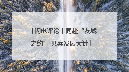 闪电评论｜同赴“友城之约” 共襄发展大计