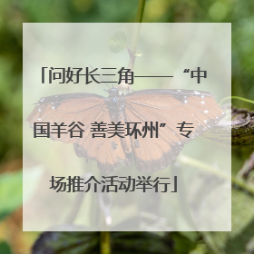 问好长三角——“中国羊谷 善美环州”专场推介活动举行