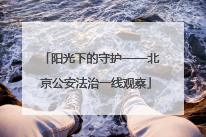 阳光下的守护——北京公安法治一线观察