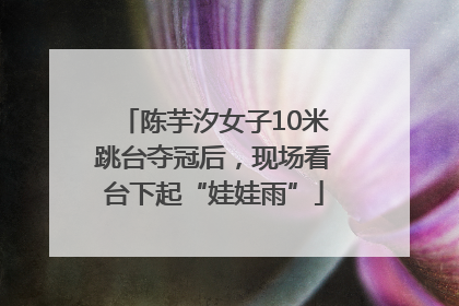 陈芋汐女子10米跳台夺冠后，现场看台下起“娃娃雨”