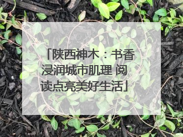 陕西神木：书香浸润城市肌理 阅读点亮美好生活