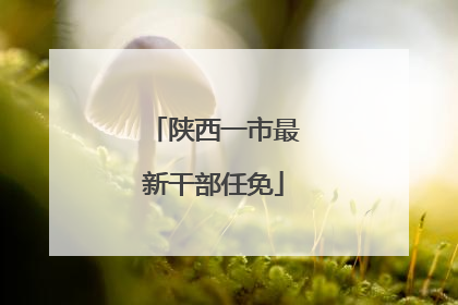 陕西一市最新干部任免