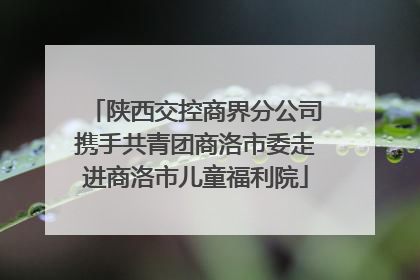 陕西交控商界分公司携手共青团商洛市委走进商洛市儿童福利院