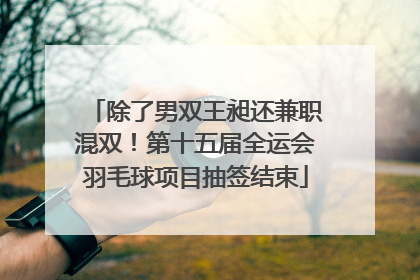 除了男双王昶还兼职混双！第十五届全运会羽毛球项目抽签结束