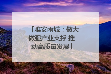 雅安雨城：做大做强产业支撑 推动高质量发展