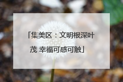 集美区：文明根深叶茂 幸福可感可触