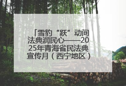 雪豹“跃”动间 法典润民心——2025年青海省民法典宣传月（西宁地区）主场活动见闻