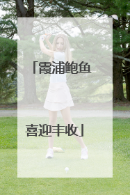 霞浦鲍鱼喜迎丰收