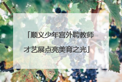 顺义少年宫外聘教师才艺展点亮美育之光