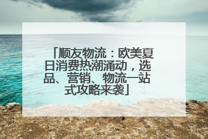 顺友物流：欧美夏日消费热潮涌动，选品、营销、物流一站式攻略来袭