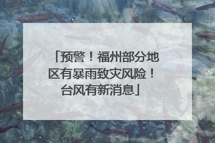 预警！福州部分地区有暴雨致灾风险！台风有新消息