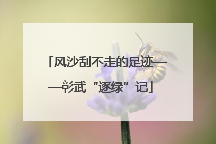 风沙刮不走的足迹——彰武“逐绿”记