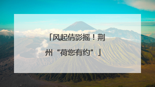 风起倩影摇！荆州“荷您有约”