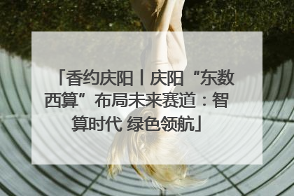 香约庆阳丨庆阳“东数西算”布局未来赛道：智算时代 绿色领航