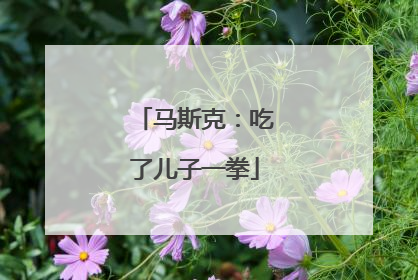 马斯克：吃了儿子一拳