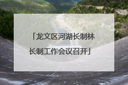 龙文区河湖长制林长制工作会议召开