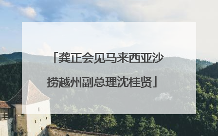 龚正会见马来西亚沙捞越州副总理沈桂贤