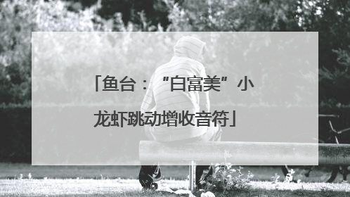 鱼台：“白富美”小龙虾跳动增收音符