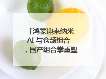 鸿蒙迎来纳米 AI 与仓颉组合，国产组合拳重塑AI搜索体验｜新经济观察