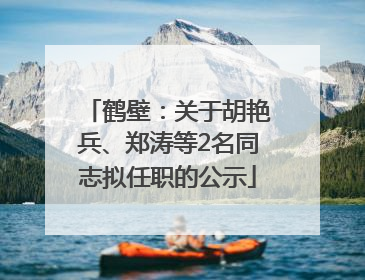 鹤壁：关于胡艳兵、郑涛等2名同志拟任职的公示