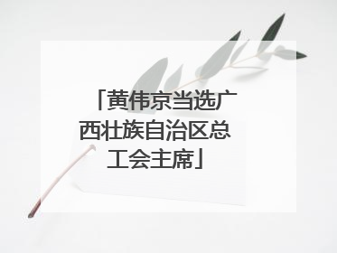 黄伟京当选广西壮族自治区总工会主席