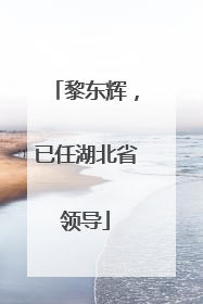 黎东辉，已任湖北省领导