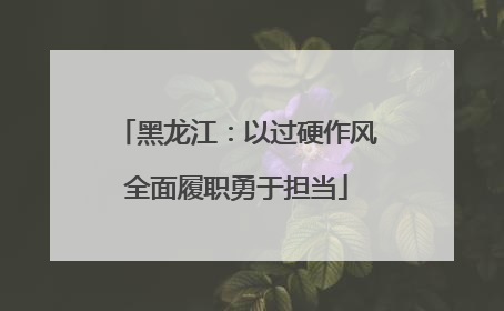 黑龙江：以过硬作风全面履职勇于担当