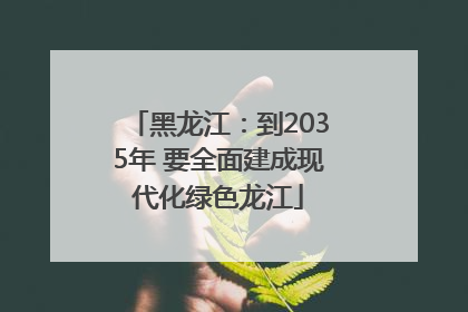黑龙江：到2035年 要全面建成现代化绿色龙江