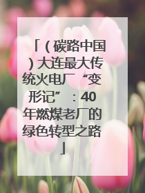 （碳路中国）大连最大传统火电厂“变形记”：40年燃煤老厂的绿色转型之路