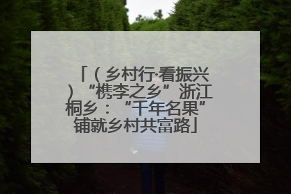 （乡村行·看振兴）“槜李之乡”浙江桐乡：“千年名果”铺就乡村共富路