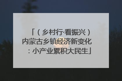 （乡村行·看振兴）内蒙古乡镇经济新变化：小产业累积大民生