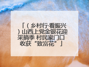 （乡村行·看振兴）山西上党金银花迎采摘季 村民家门口收获“致富花”