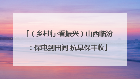 （乡村行·看振兴）山西临汾：保电到田间 抗旱保丰收