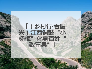 （乡村行·看振兴）江西铜鼓“小杨梅”化身百姓“致富果”