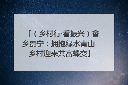（乡村行·看振兴）畲乡景宁：拥抱绿水青山 乡村迎来共富蝶变