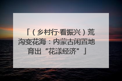 （乡村行·看振兴）荒沟变花海：内蒙古闲置地育出“花漾经济”